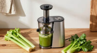6 Best Juicers for Celery and Greens in 2026