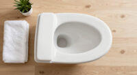 7 Best Best Elongated Bidet Toilet Seat in 2026