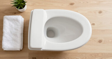 7 Best Best Elongated Bidet Toilet Seat in 2026