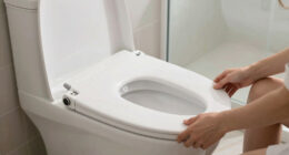 7 Best Best Premium Bidet Toilet Seat in 2026