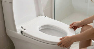 7 Best Best Premium Bidet Toilet Seat in 2026