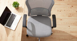 7 Best Ergonomic Office Chairs for Back Pain in 2026
