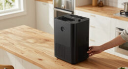 8 Best Dehumidifier Under 500 in 2026