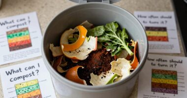 beginners composting common questions