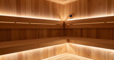 concerns about sauna emf