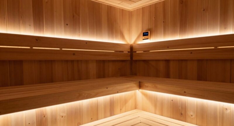 concerns about sauna emf