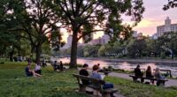 desire for calmer living