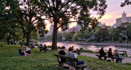 desire for calmer living