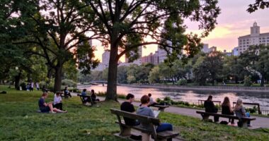 desire for calmer living