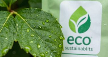 detecting false environmental claims
