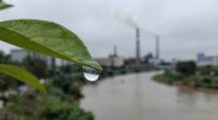 environmental and health risks