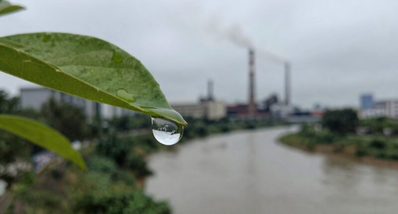 environmental and health risks