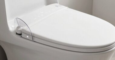 important bidet seat features