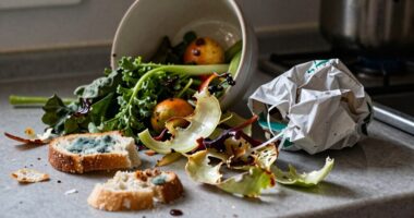 kitchen food waste issue