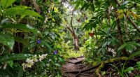 local impacts of biodiversity loss