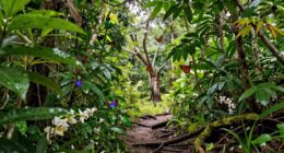 local impacts of biodiversity loss