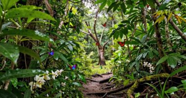 local impacts of biodiversity loss