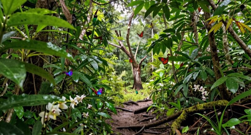 local impacts of biodiversity loss