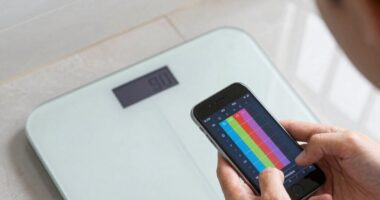misunderstood body composition readings