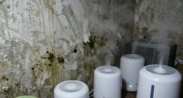 multiple devices for mold