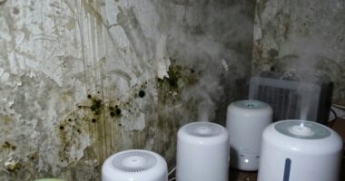 multiple devices for mold