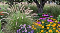 native plants support ecosystems