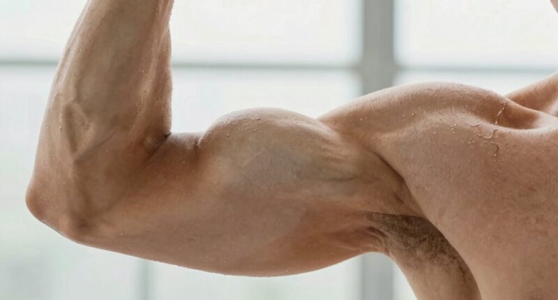 ongoing muscle health research