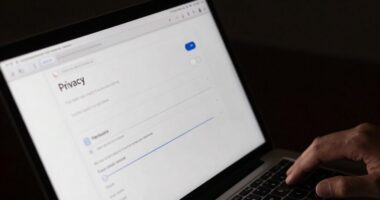 overlooked privacy options