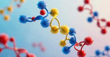 protein structure discussion