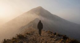 understanding follows taking action