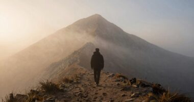 understanding follows taking action