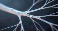understanding nervous system functions