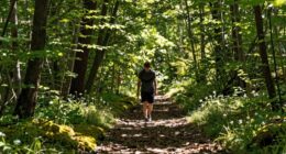 walking enhances cognitive function