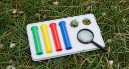 7 Best Outdoor Science Experiment Kits in 2026