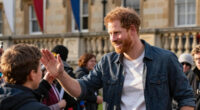 Prince Harry Uk Royal Visit